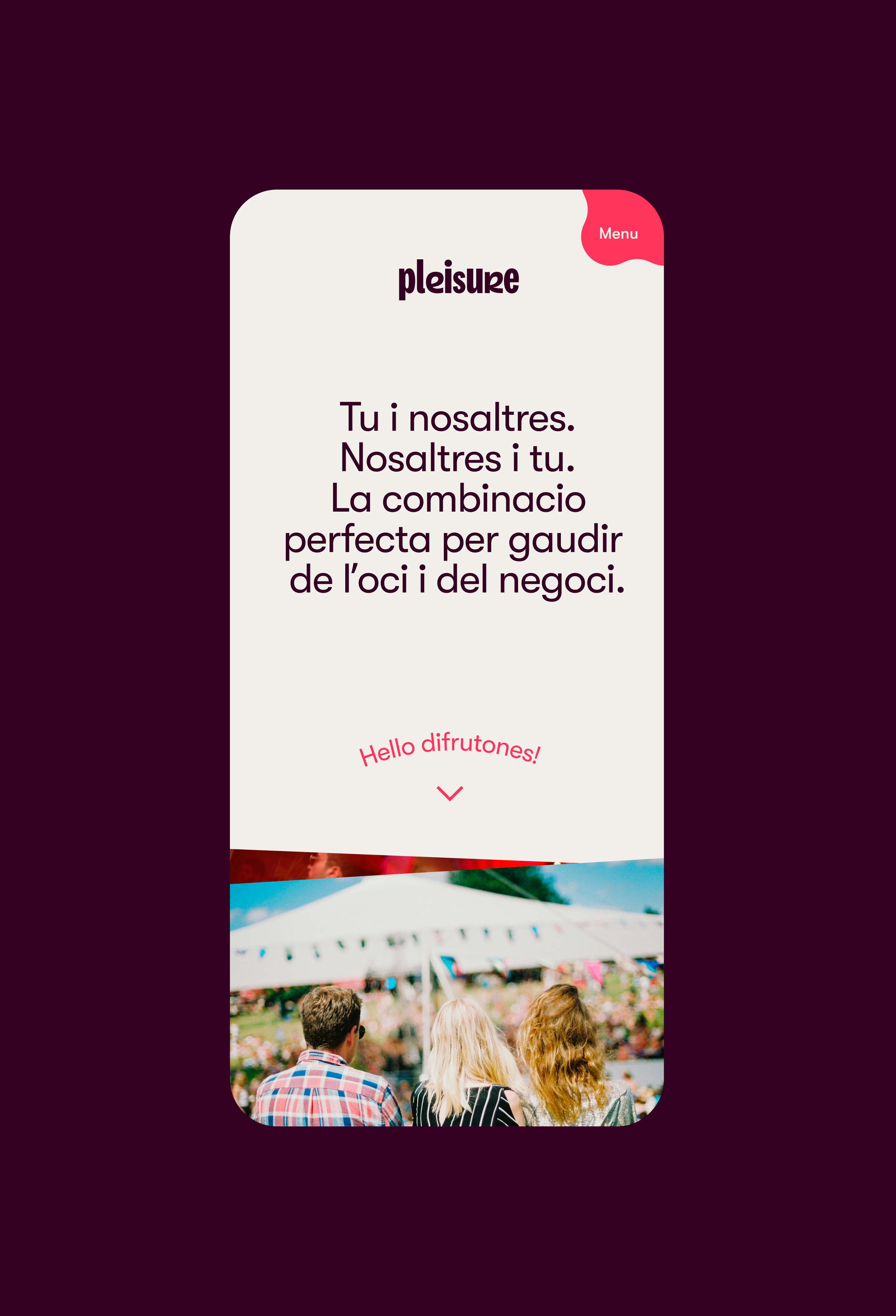 Pleisure